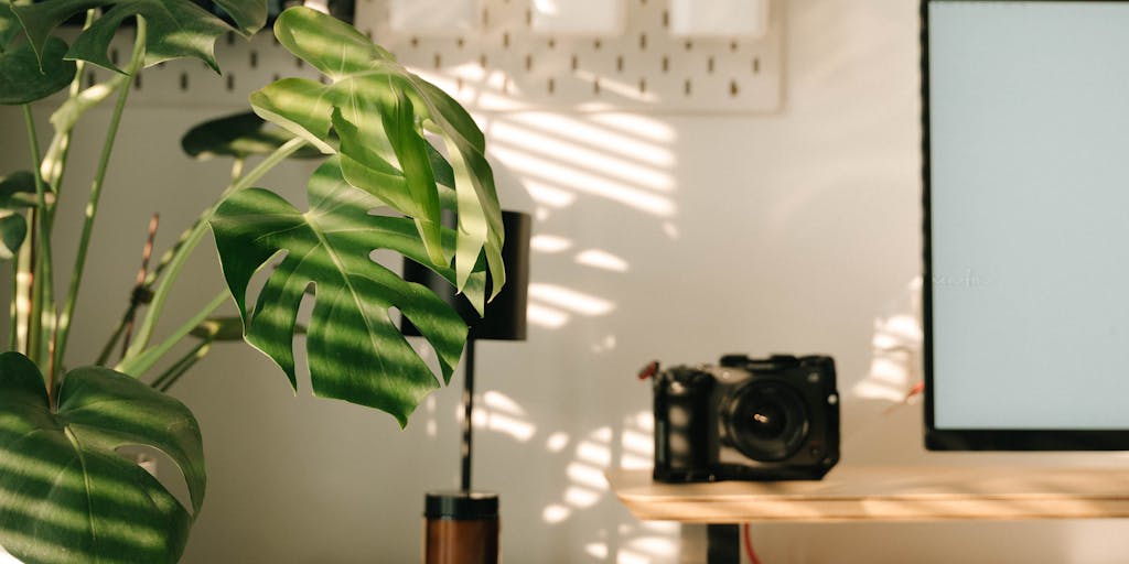 A close-up shot of a person using a laptop with the Rocketreach website open, showcasing the interface and features. The background should be a cozy workspace with plants and a coffee cup, emphasizing productivity and modern work culture.